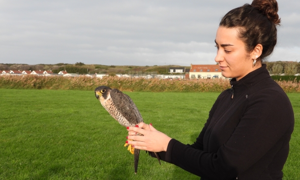 Auffangzentrum für Vögel und Wildtiere