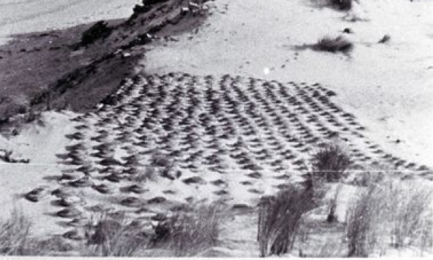 Wij zoeken historische bevrijdingsfoto's