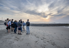 Wandelsafari